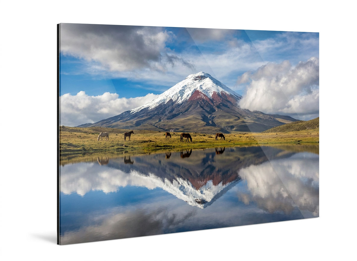 Canvas personalizado Fine Art